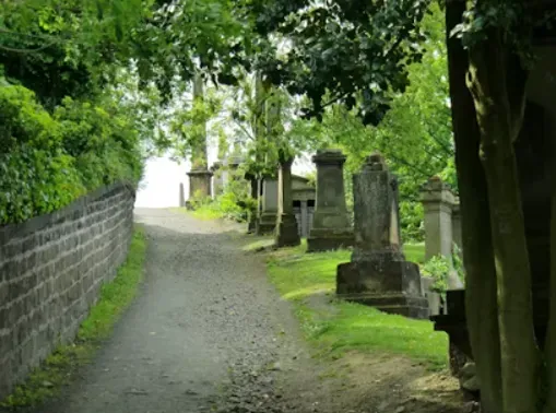 Allée ombragée bordée de monuments funéraires en pierre dans un cimetière arboré