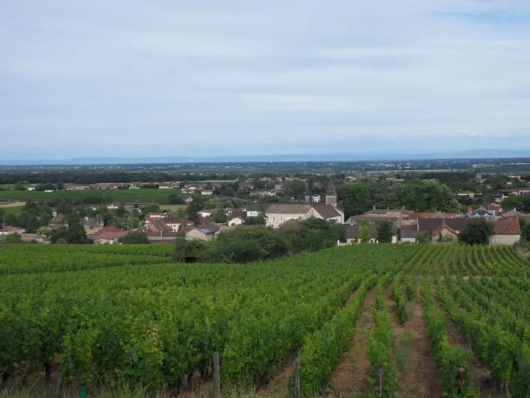 Viré (71260)