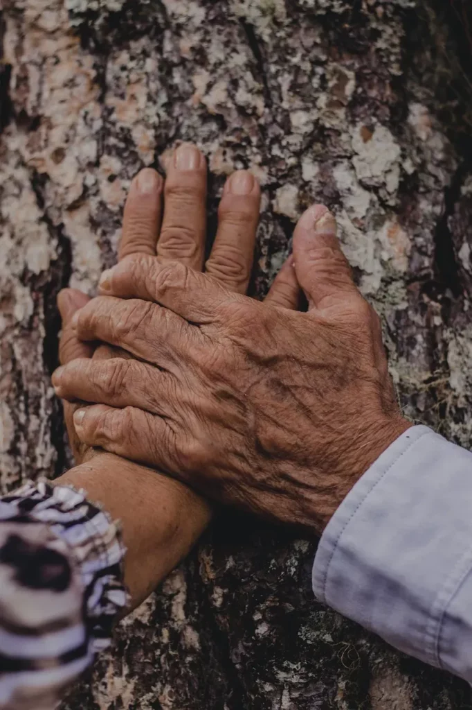 Deux mains ridées d'un couple sénior posées l'une sur l'autre contre le trône d'un arbre